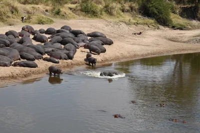 DSC_3636 (Large).JPG